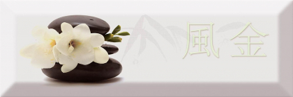 Absolut Keramika Monocolor Biselado Decor Japan Tea 04 B 10x30