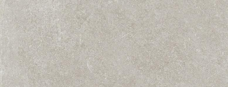 Porcelanosa Verbier Silver 45x120