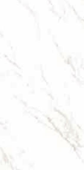 Casalgrande Padana Marmoker Statuario Oro Lucido D 120x240