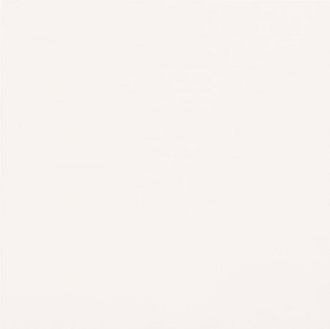 Casalgrande Padana Unicolore Bianco Assoluto Antibacterial Levigato 60x60