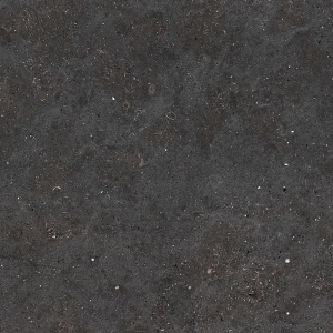 Graniti Fiandre Solida Black Honed 100x100