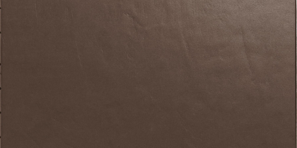 Casalgrande Padana Architecture Light Brown Levigato 30x60