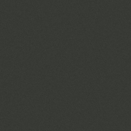 Levantina Basic Black 5 mm Rt 50x50