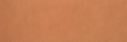 Fap Color Now Curcuma 30.5x91.5