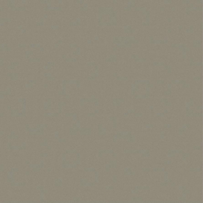 Saloni Proyeccion Bronce Antid C2 60x60