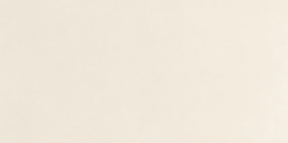 Panaria Zero.3 Experience Bianco Denso 50x100