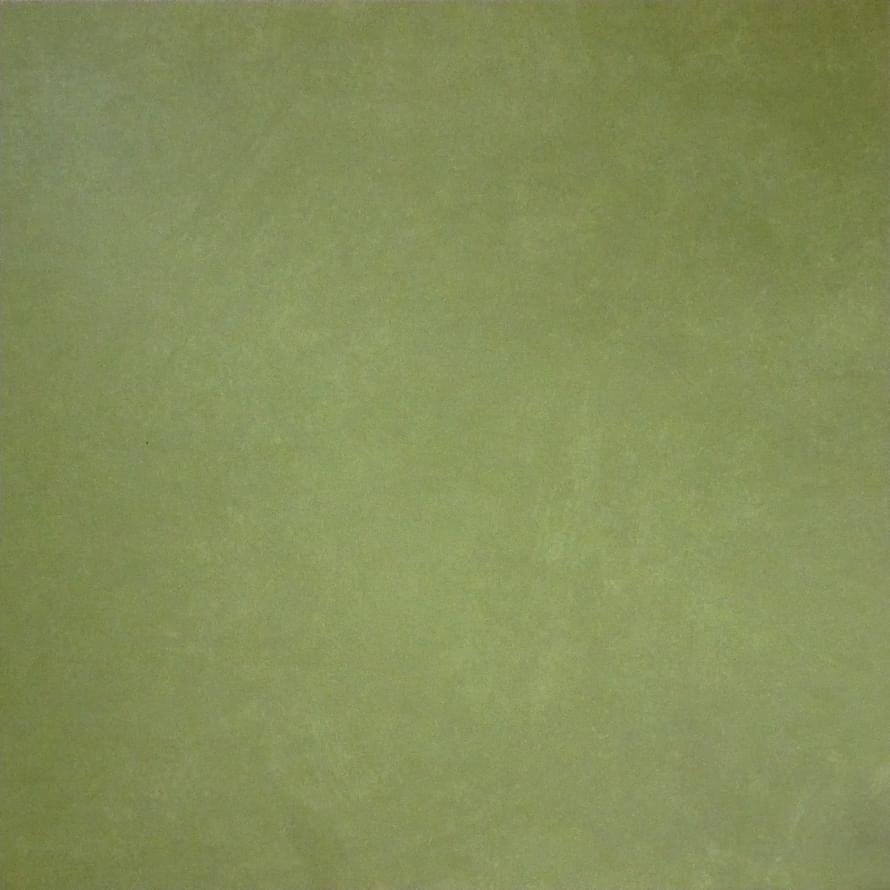 Apavisa Anarchy Green Natural 59.55x59.55