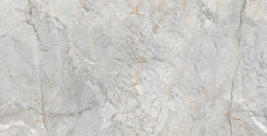 Ricchetti Golden Pure Oxford Grey Lx 59.6x119.2