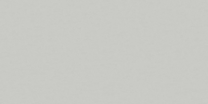 Saloni Proyeccion Ceniza 30x60