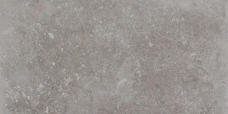 Cerdomus Nordenn Greige 20x40