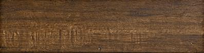 Aparici Branch Walnut Nonslip 24.9x100