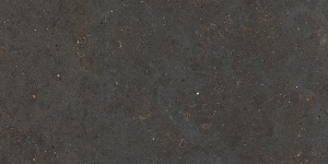 Graniti Fiandre Solida Black Prelucidato 30x60