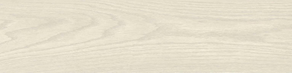 Saloni Robur Beige 24.8x100