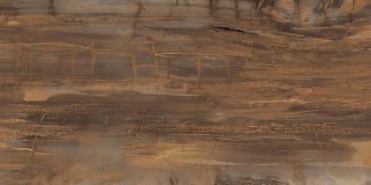 Graniti Fiandre Eminent Wood Maximum Brown Lucidato 37.5x75