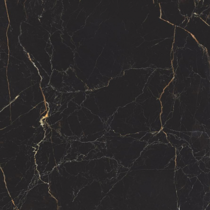 Ricchetti Golden Pure Saint Laurent Lx 119.2x119.2