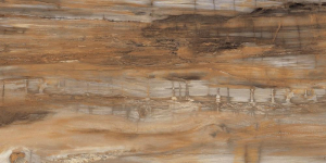 Graniti Fiandre Eminent Wood Maximum Brown Lucidato 75x150