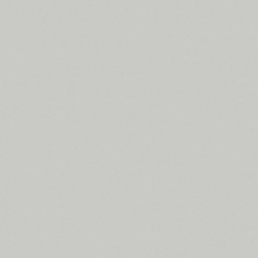 Saloni Proyeccion Ceniza 60x60