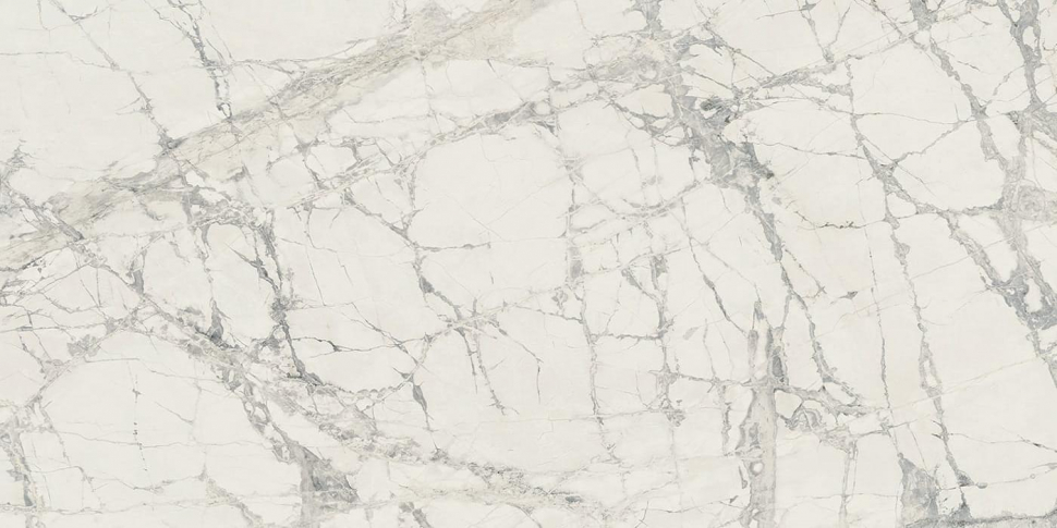 Rex Prexious Mountain Treasure Matte 120x240