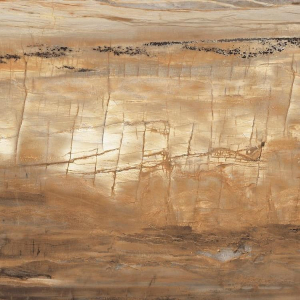 Graniti Fiandre Eminent Wood Maximum Brown Lucidato 75x75