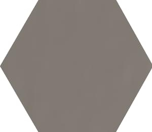 Graniti Fiandre Musa Plus Esagono Umber Honed 23x20