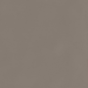 Graniti Fiandre Musa Plus Umber Honed 60x60