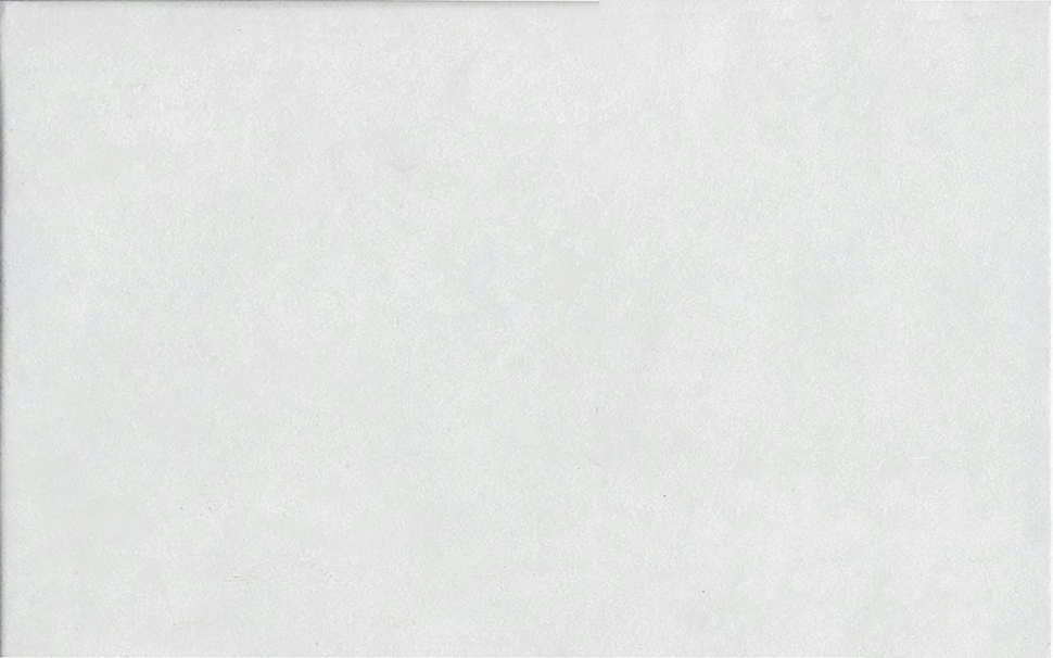 Saloni Corona Corona Blanco Brillo 25x40