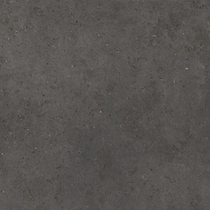 La Fabbrica Le Pietre D Europa Lux Dark Rett R11 100x100