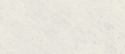 Fap Maxxi Roma Diamond Carrara Brillante 120x278