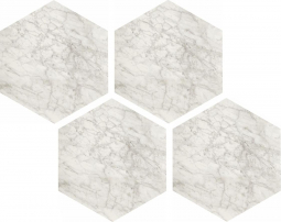 Casalgrande Padana Marmoker Esagoni Bardiglio Bianco Lucido 21.5x25