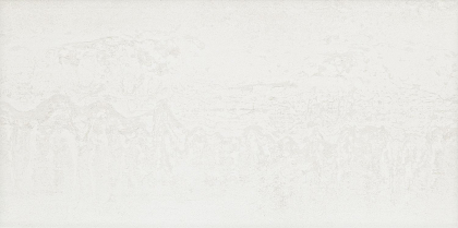 Arte Ramina White 29.8x59.8