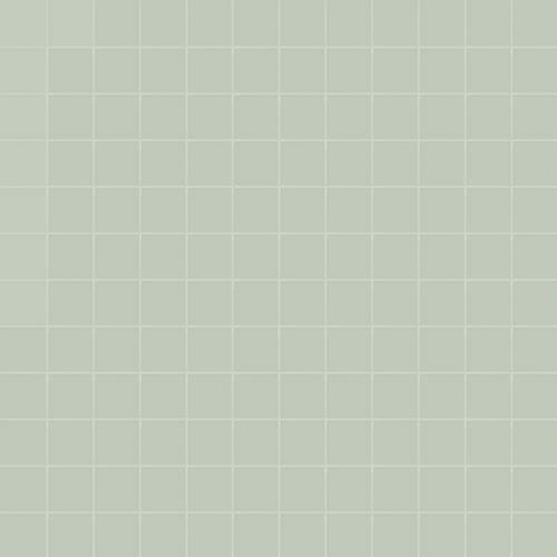 CE.SI Matt Edera Su Rete 2.5x2.5 30x30