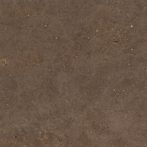 Graniti Fiandre Solida Brown Honed 100x100