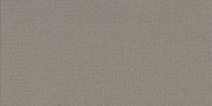 Casalgrande Padana Earth Grigio3 30x60