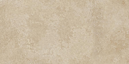 Apavisa Earth Beige Natural 59.55x119.3