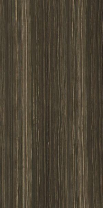 Ariostea Ultra Marmi Eramosa Brown 150x300