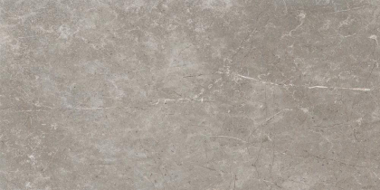 Cerdomus Mexicana Grey 30x60