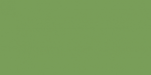 VitrA Color Ral 1105050 Green Matt 10x20