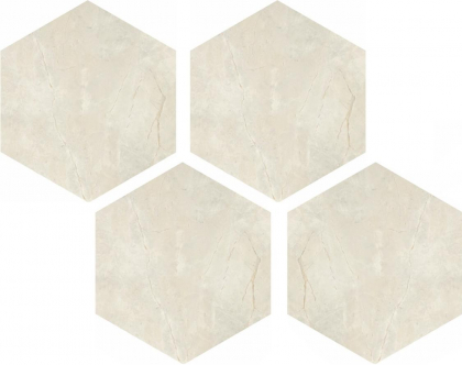 Casalgrande Padana Marmoker Esagoni Breccia Argento Lucido 21.5x25