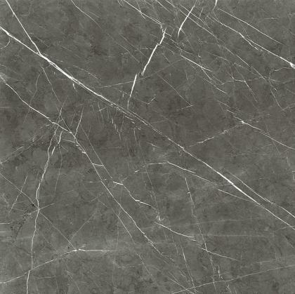 Rex Prexious Charming Amber Glossy 120x120