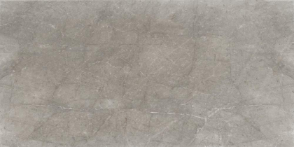 Cerdomus Mexicana Grey 60x120