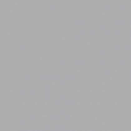 Paradyz Gamma Szara Polysk 19.8x19.8