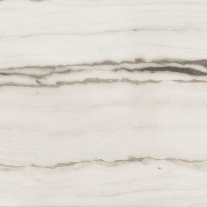 Rex Prexious White Fantasy Glossy 6 mm 80x80
