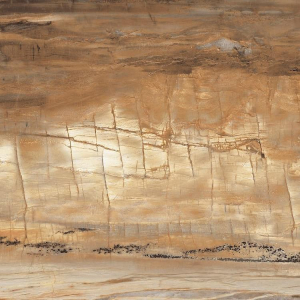 Graniti Fiandre Eminent Wood Maximum Brown Satin 75x75