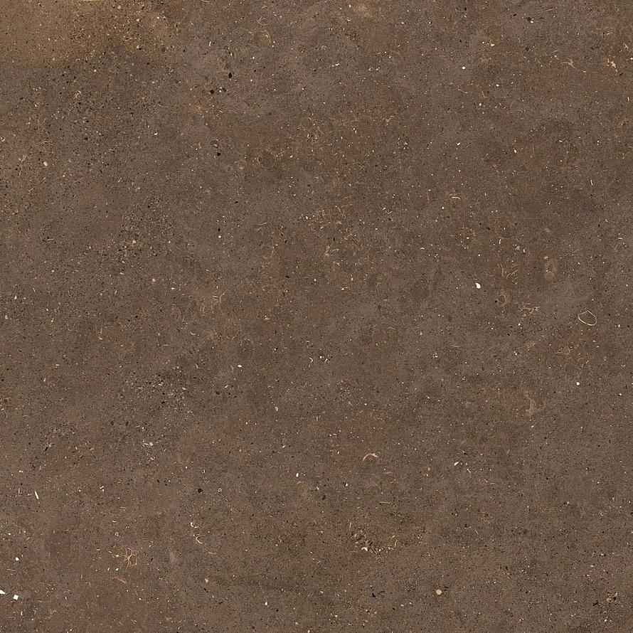 Graniti Fiandre Solida Brown Honed 60x60