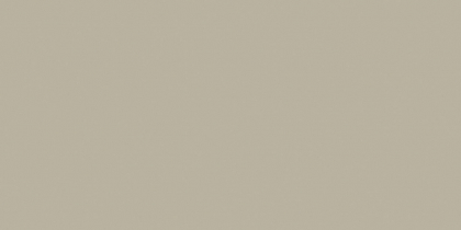 Saloni Proyeccion Gris 60x120