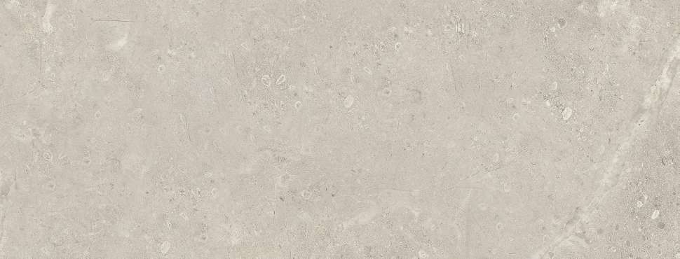 Fanal Lord Perla Nplus 45x118