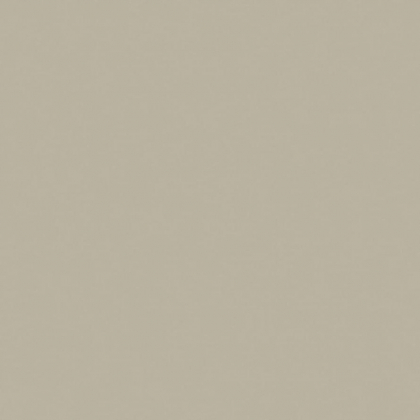 Saloni Proyeccion Gris 60x60