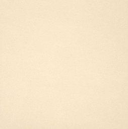 Casalgrande Padana Unicolore Bianco Avorio Levigato 40x40