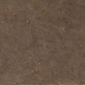Graniti Fiandre Solida Brown Prelucidato 60x60