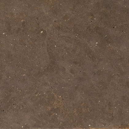Graniti Fiandre Solida Brown Prelucidato 60x60